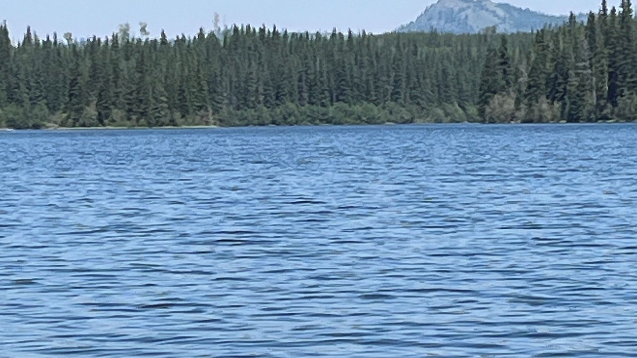 Photo of Outdoor in Logan Lake