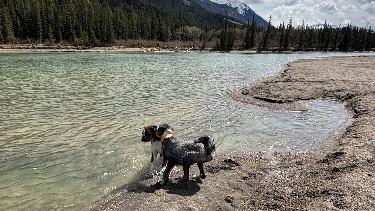 Photo of Others in Jasper