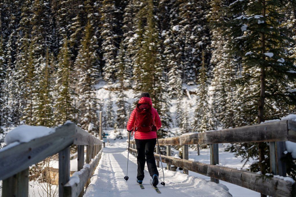 Photo of Others in Lake Louise