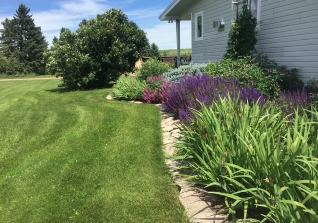 Photo of Outdoor in Halkirk