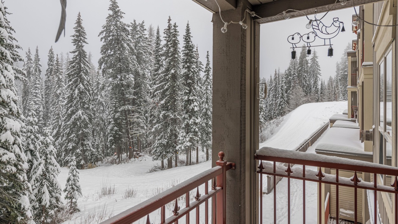 Photo of Others in Silver Star Mountain