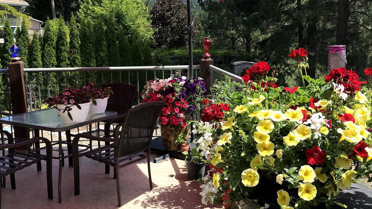 Photo of Outdoor in Vernon