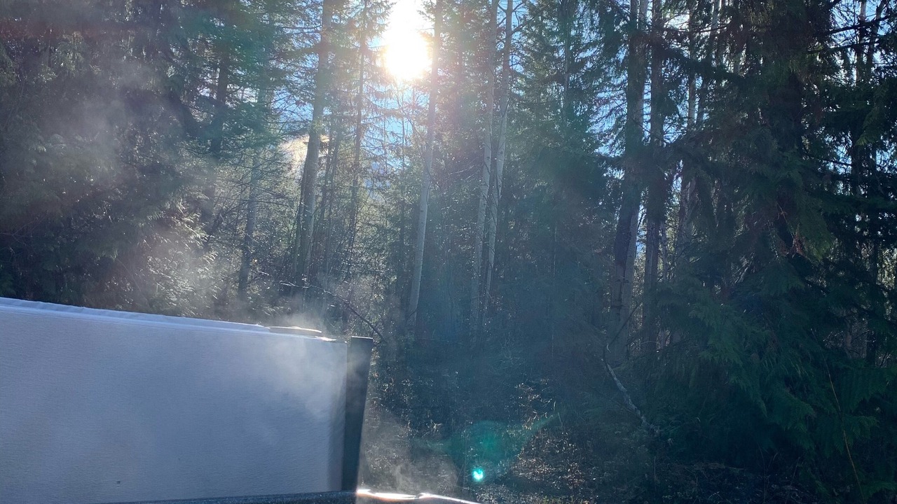 Photo of Outdoor in Golden