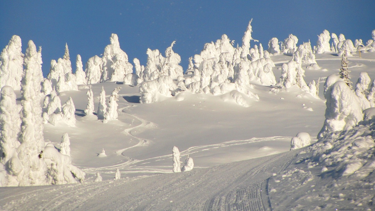 Photo of Others in Snow Pine Estates