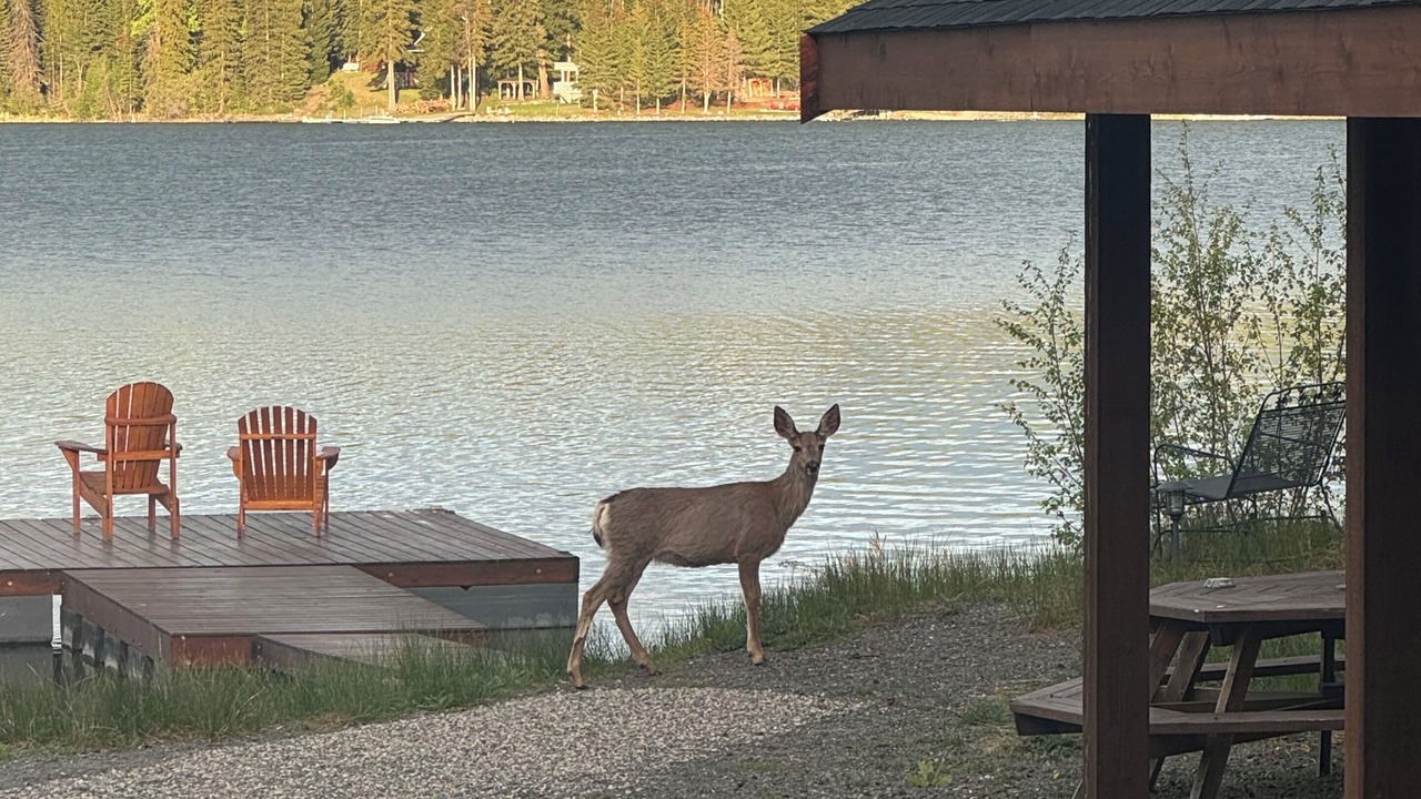 Photo of Patio Balcony in Sheridan Lake