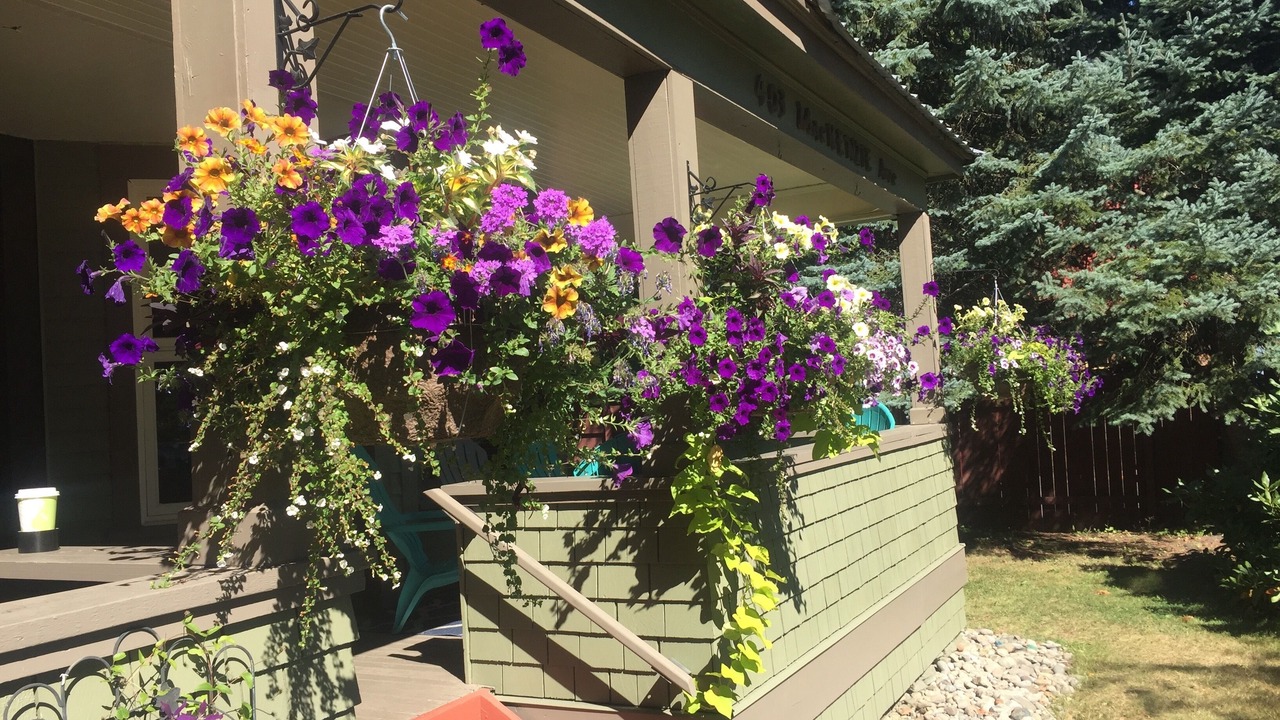 Photo of Outdoor in Revelstoke