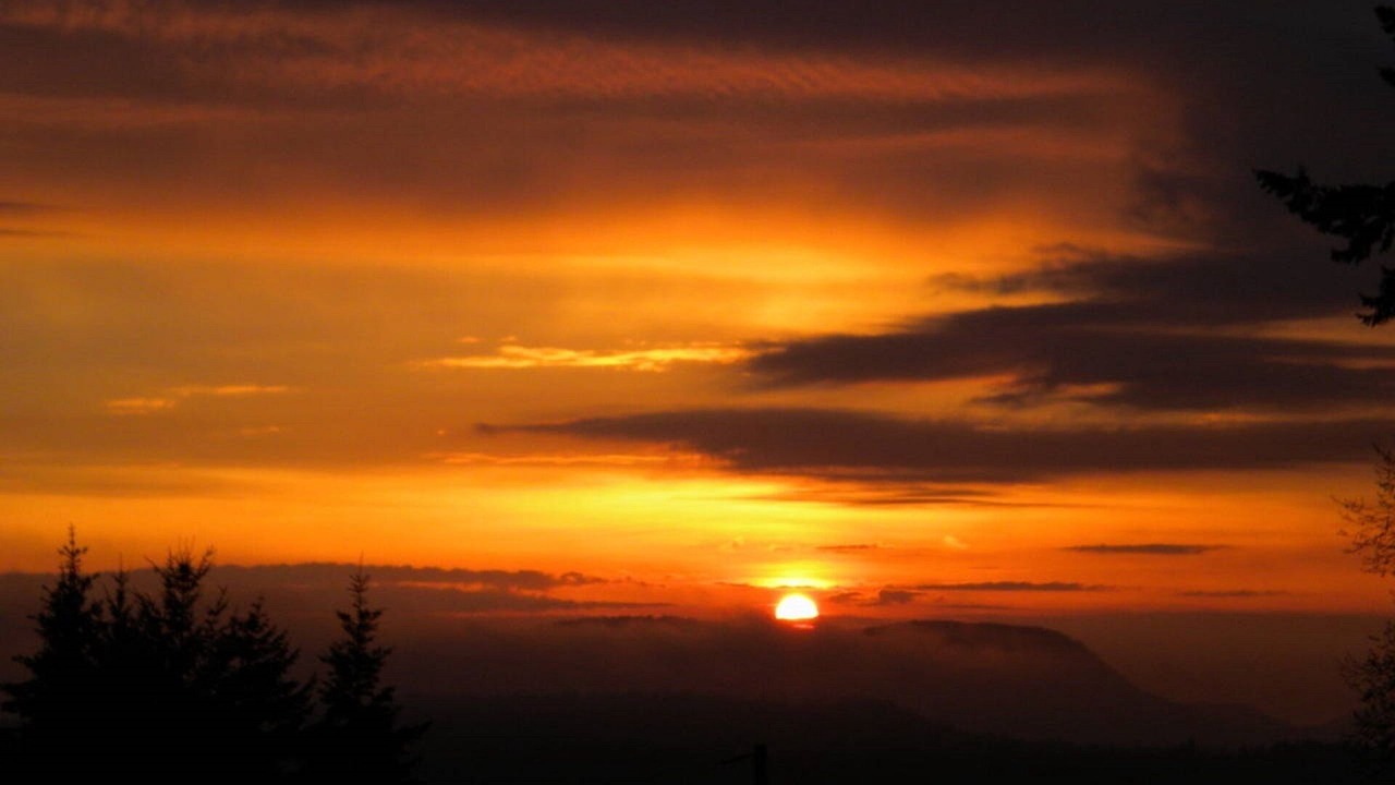Photo of Others in Salt Spring Island