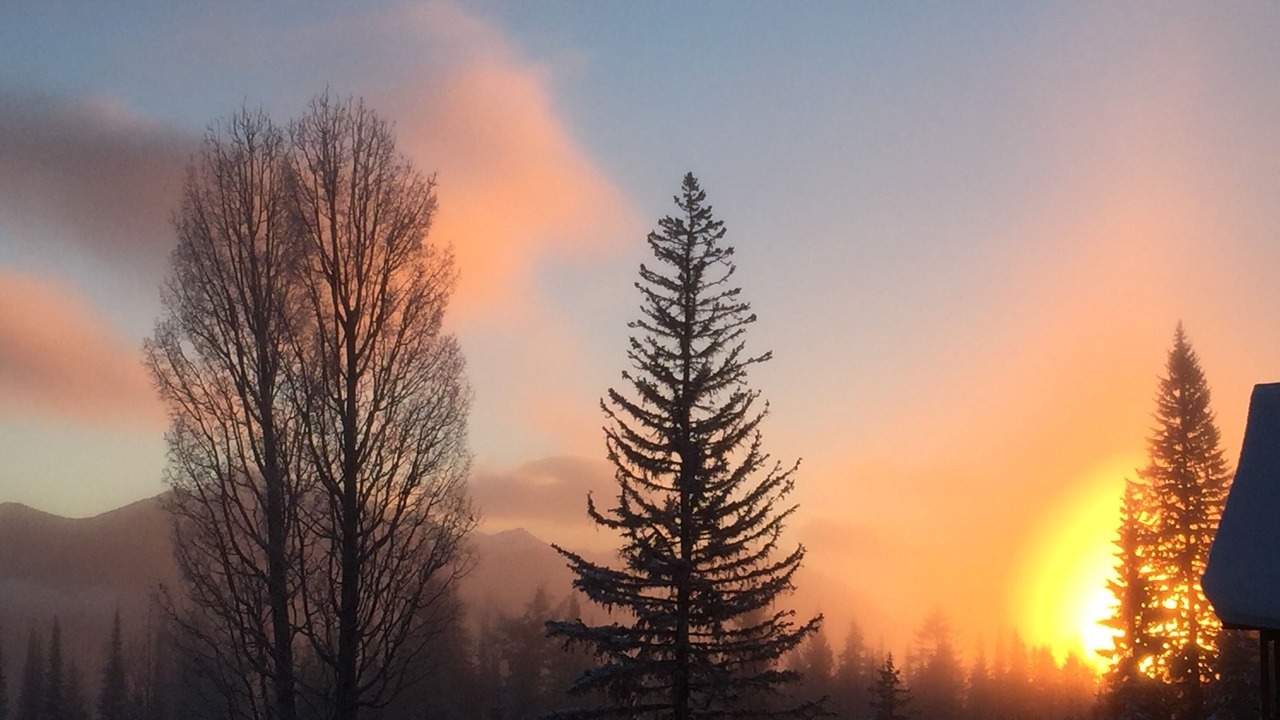 Photo of Outdoor in Golden