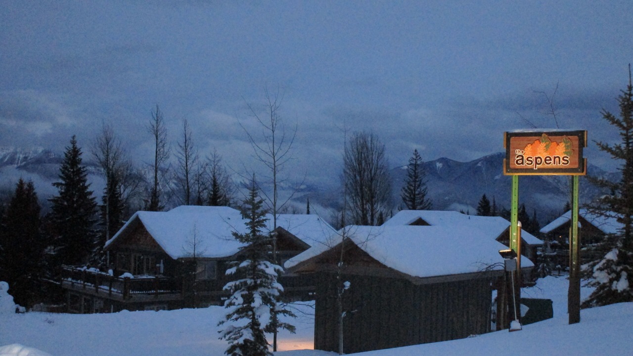 Photo of Outdoor in Golden