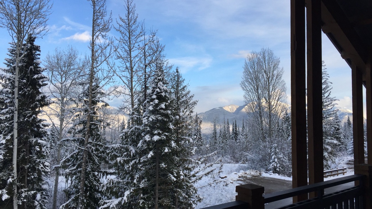 Photo of Outdoor in Golden