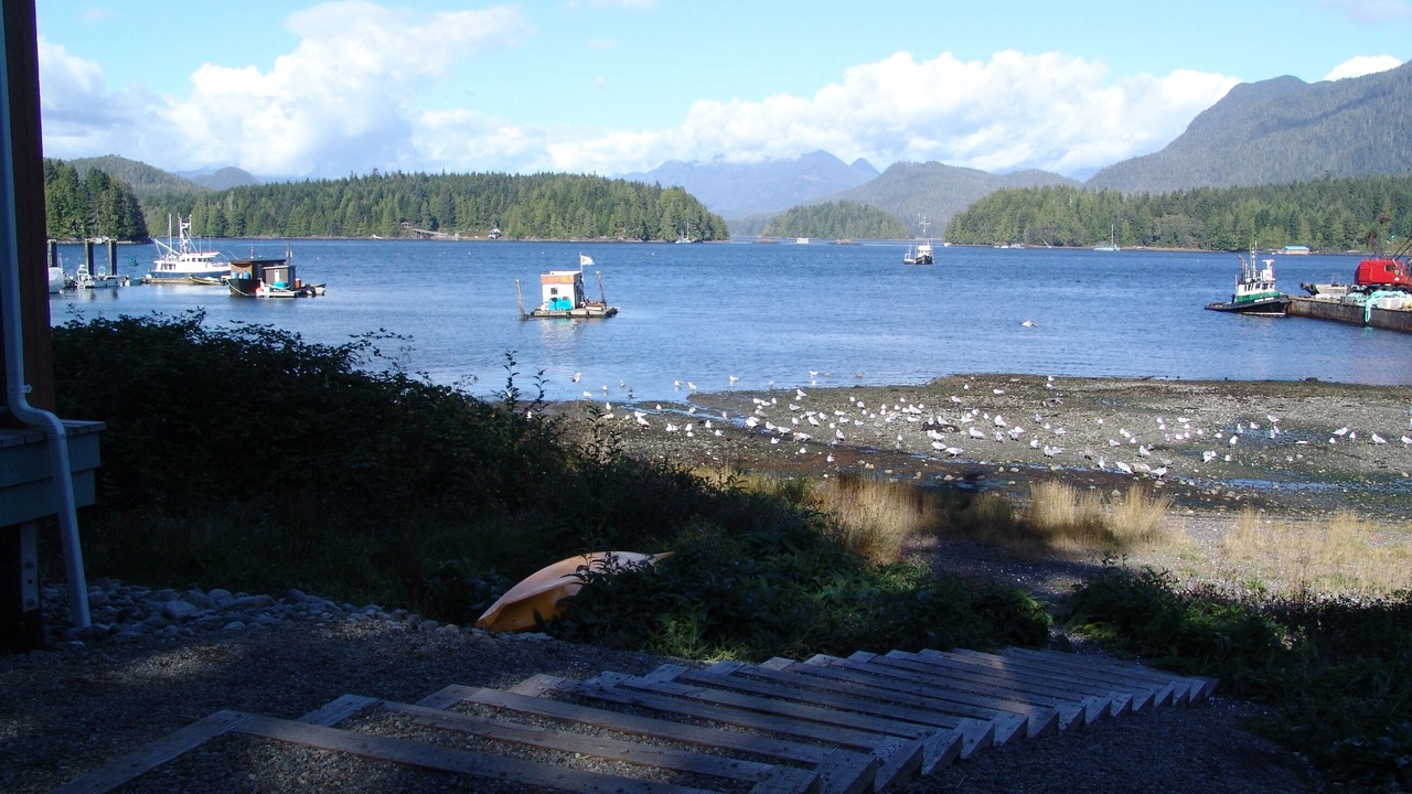 Photo of Others in Tofino