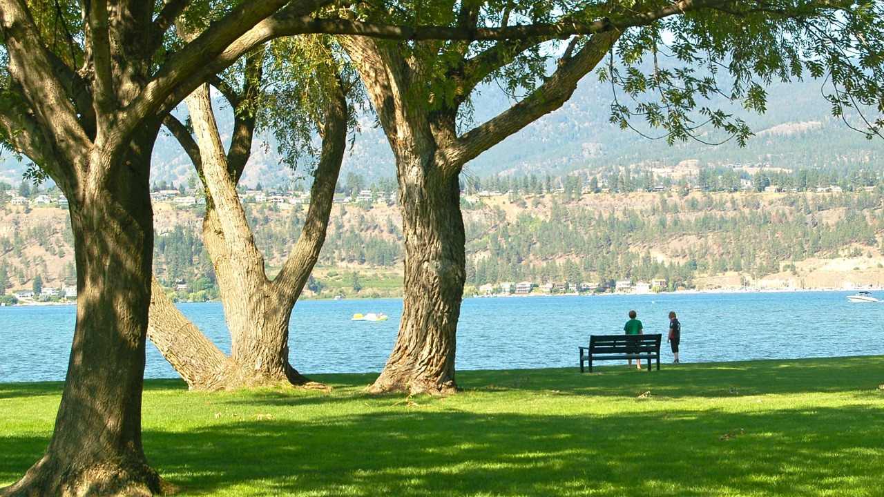 Photo of Outdoor in South Pandosy