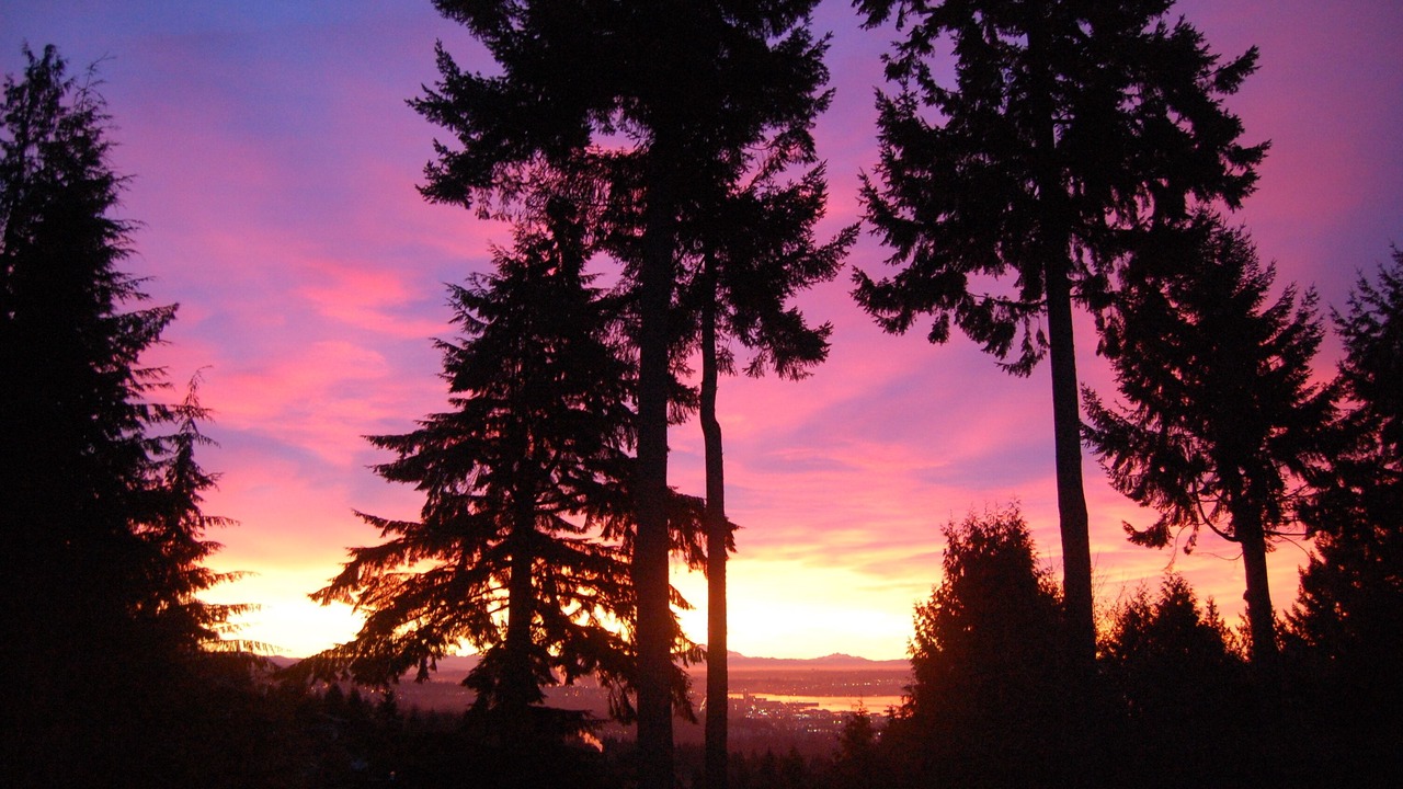 Photo of Others in West Vancouver