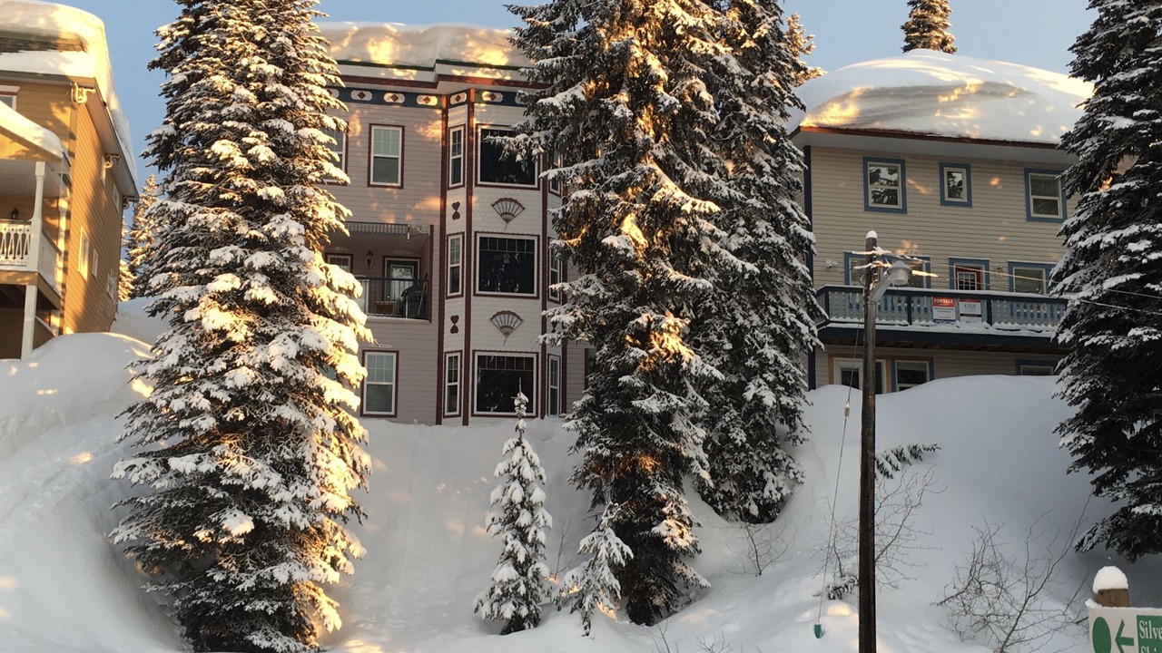 Photo of Others in Silver Star Mountain