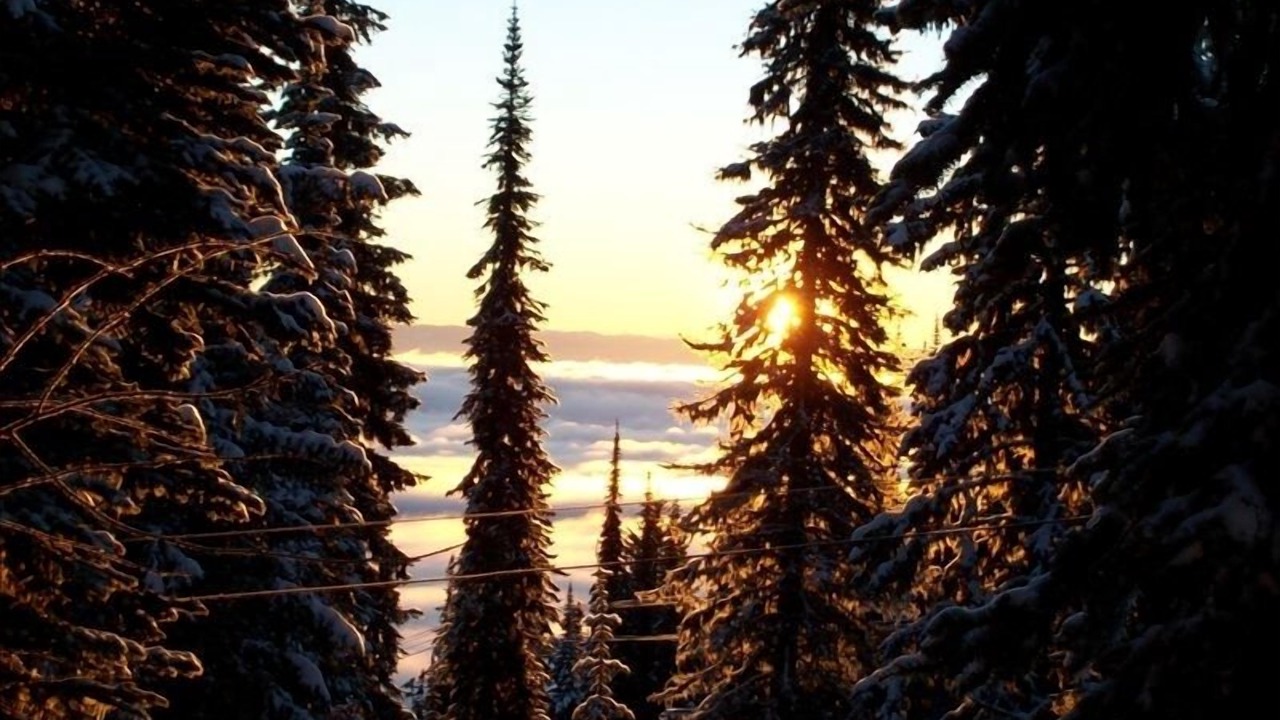 Photo of Others in Silver Star Mountain