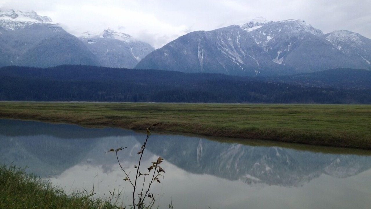 Photo of Others in Revelstoke