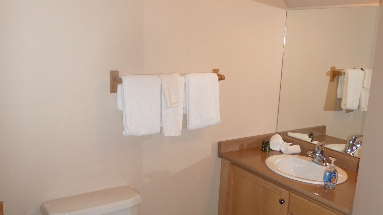 Photo of Bathroom in Fernie
