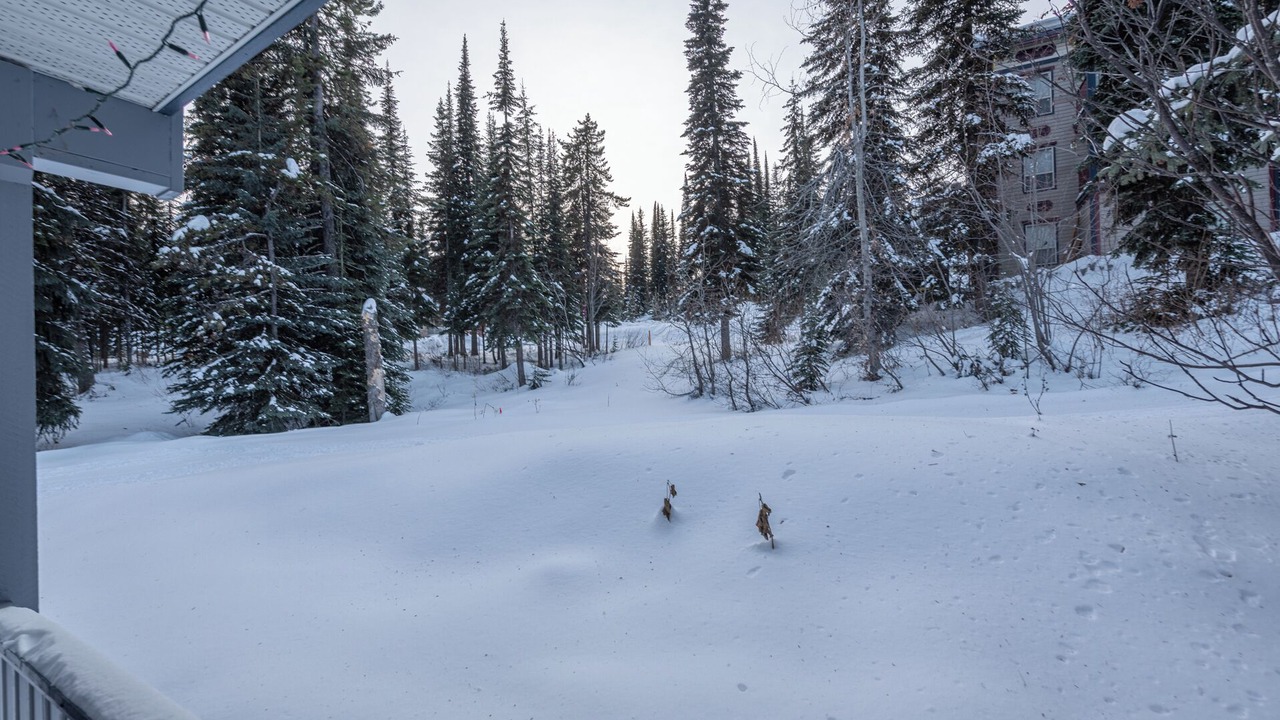 Photo of Outdoor in Silver Star Mountain