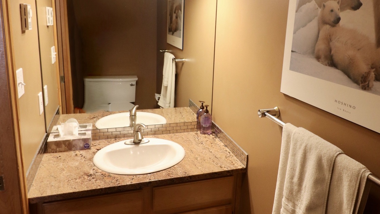 Photo of Bathroom in Silver Star Mountain