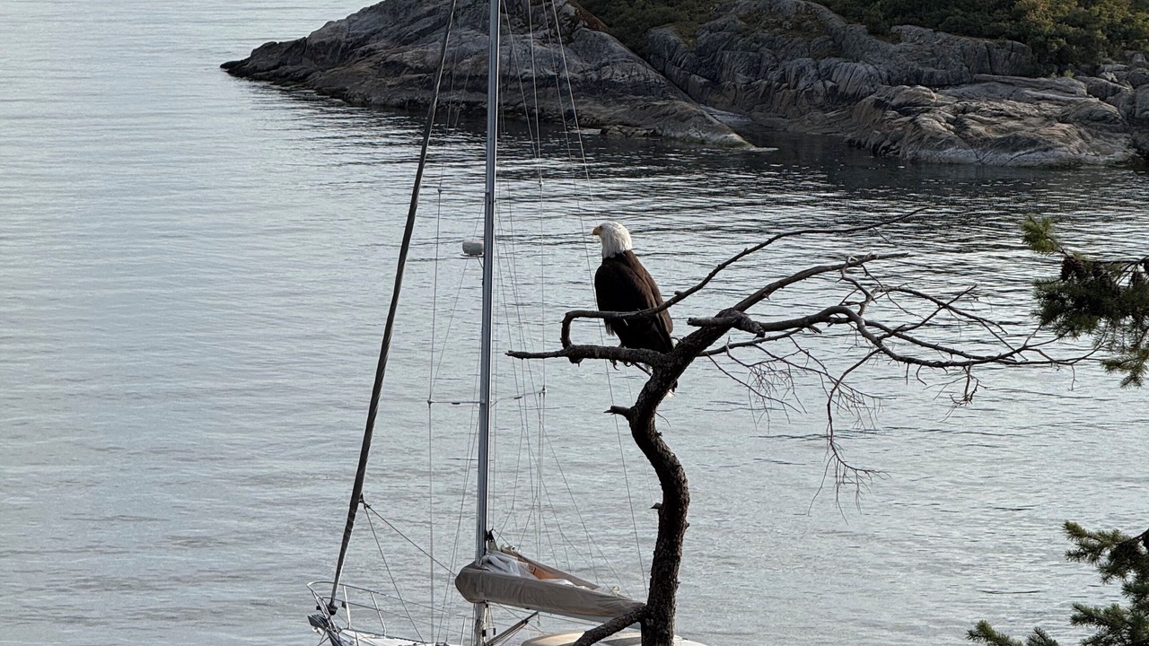 Photo of Others in Bowen Island