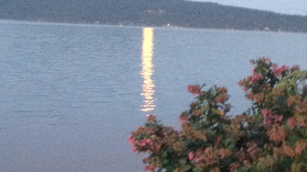Photo of Others in Mill Bay