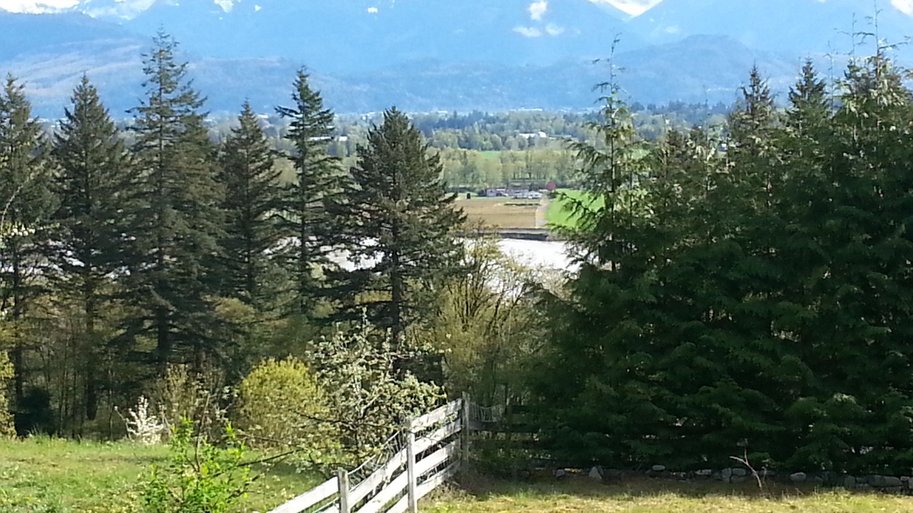 Photo of Others in Agassiz
