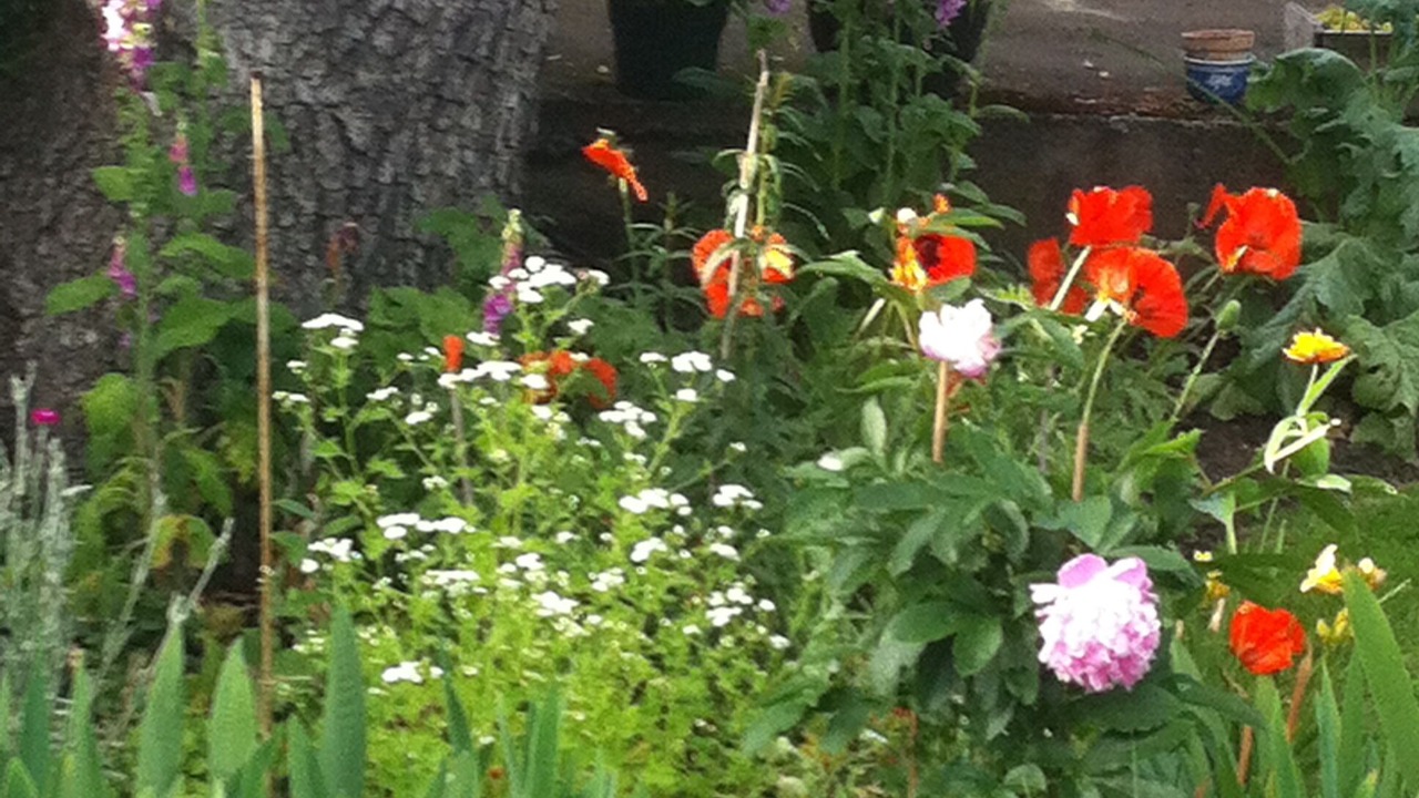 Photo of Outdoor in Oaklands