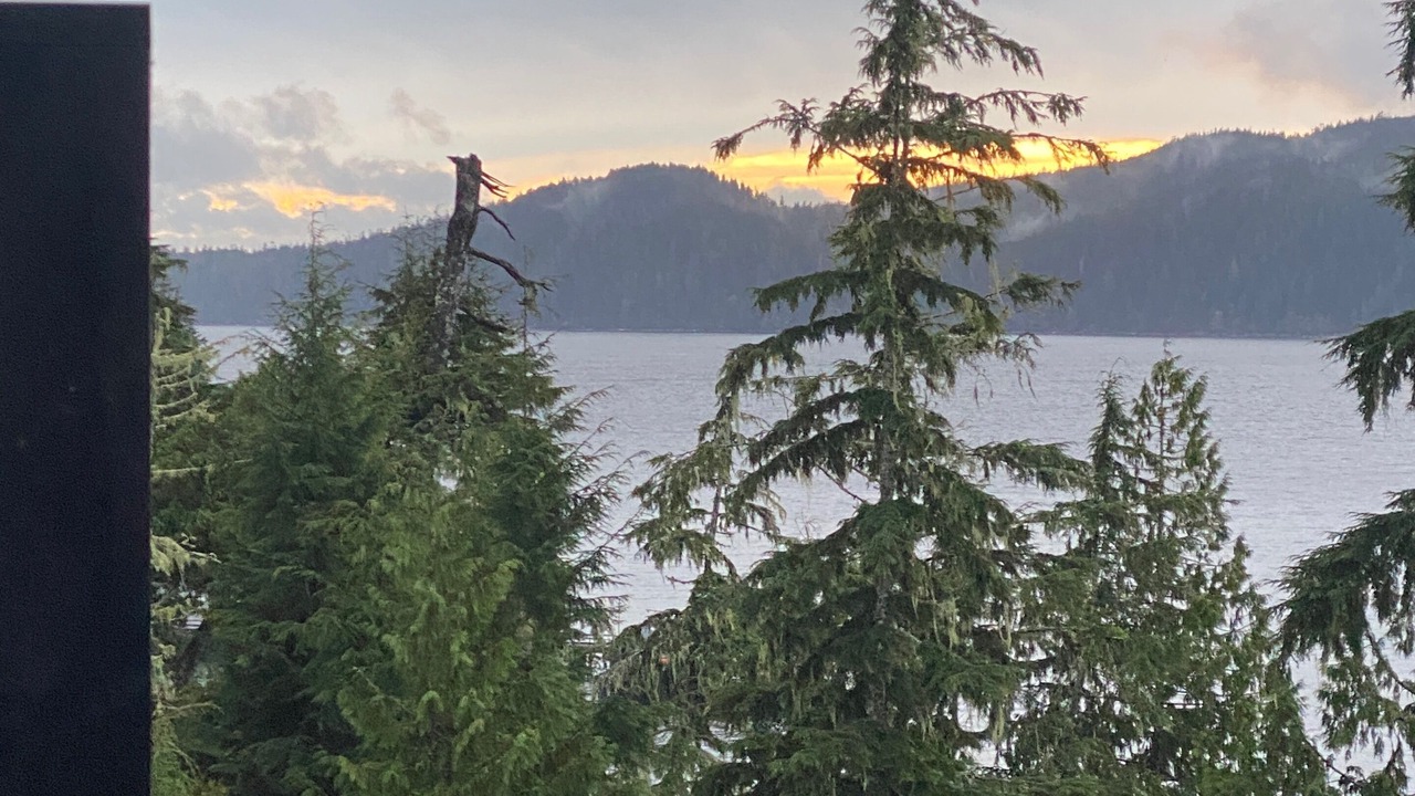 Photo of Others in Port Renfrew