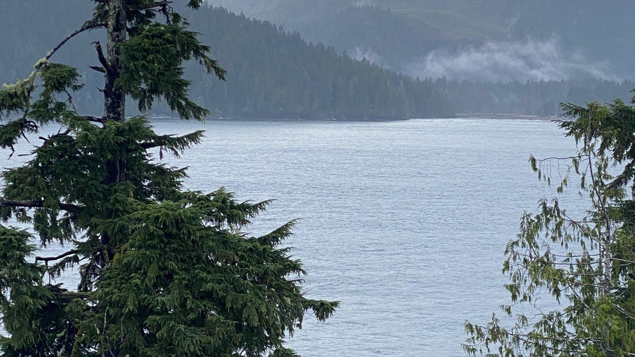 Photo of Others in Port Renfrew