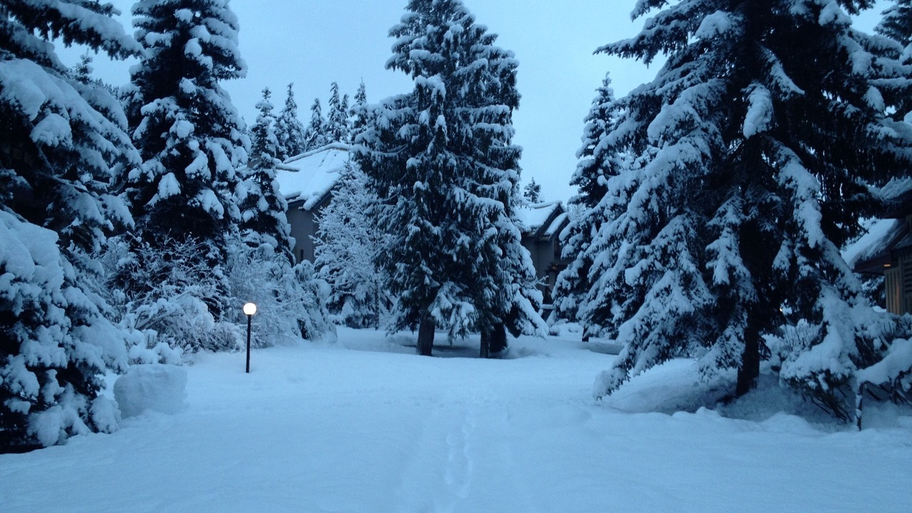 Photo of Outdoor in Blackcomb