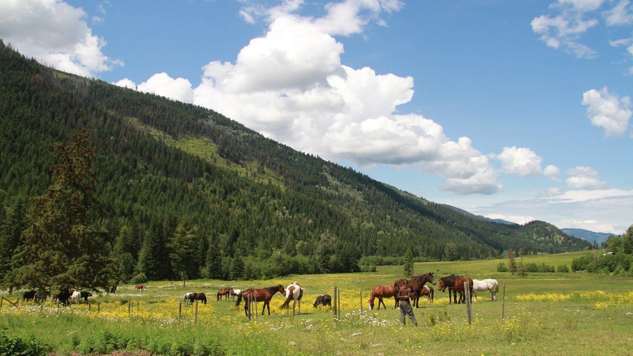 Photo of Others in Sun Peaks