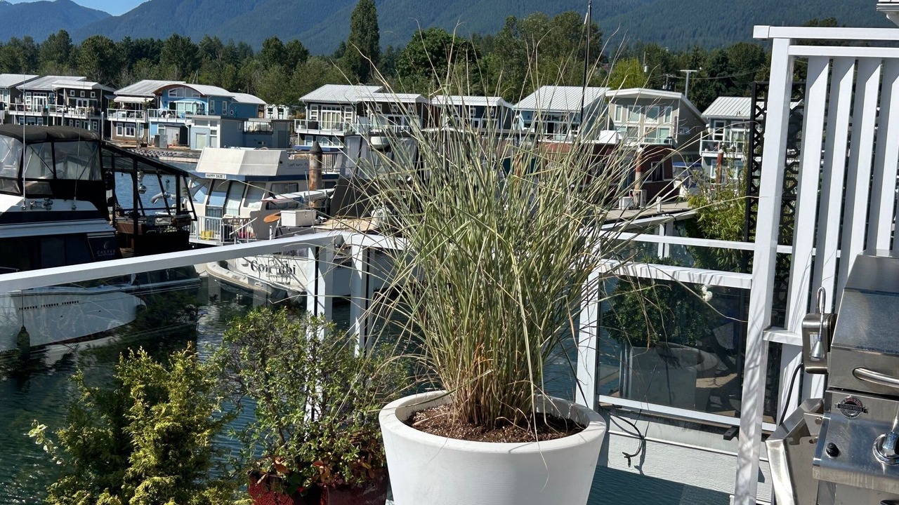 Photo of Outdoor in Lower Lonsdale