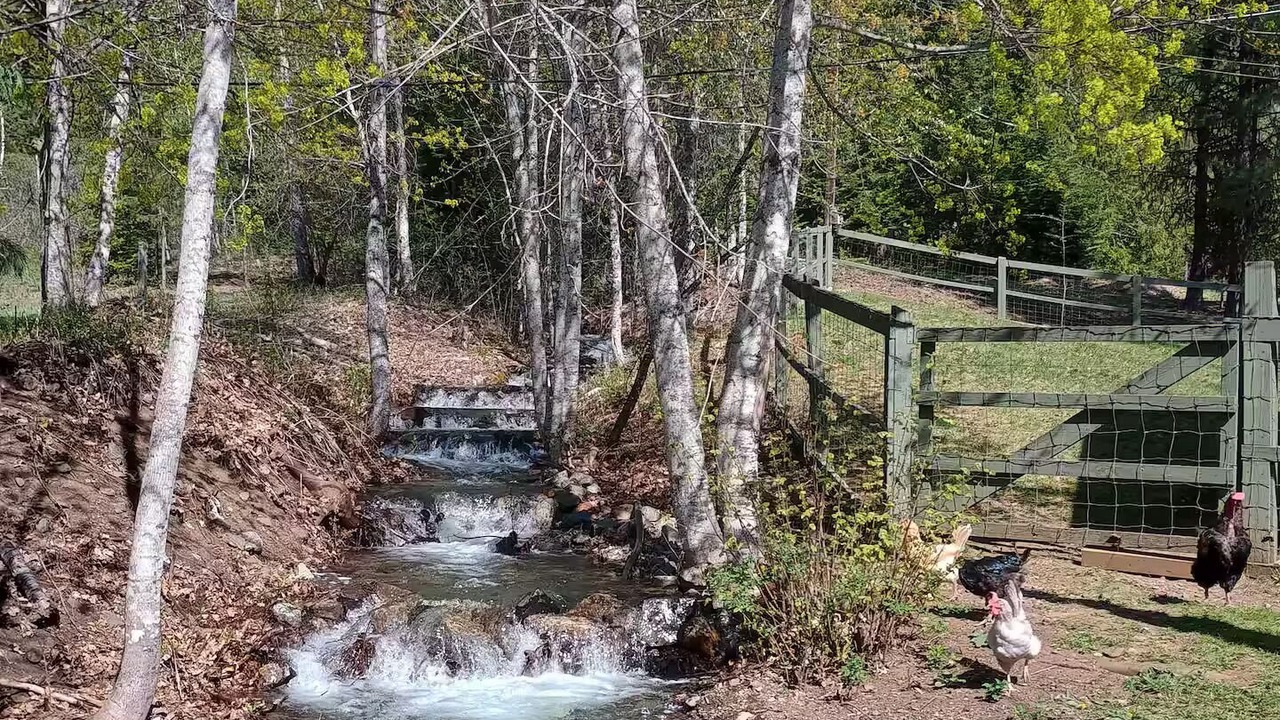 Photo of Others in Salmo