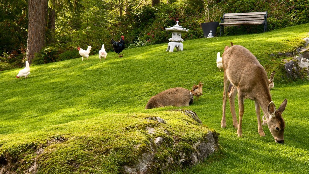 Photo of Outdoor in Bowen Island