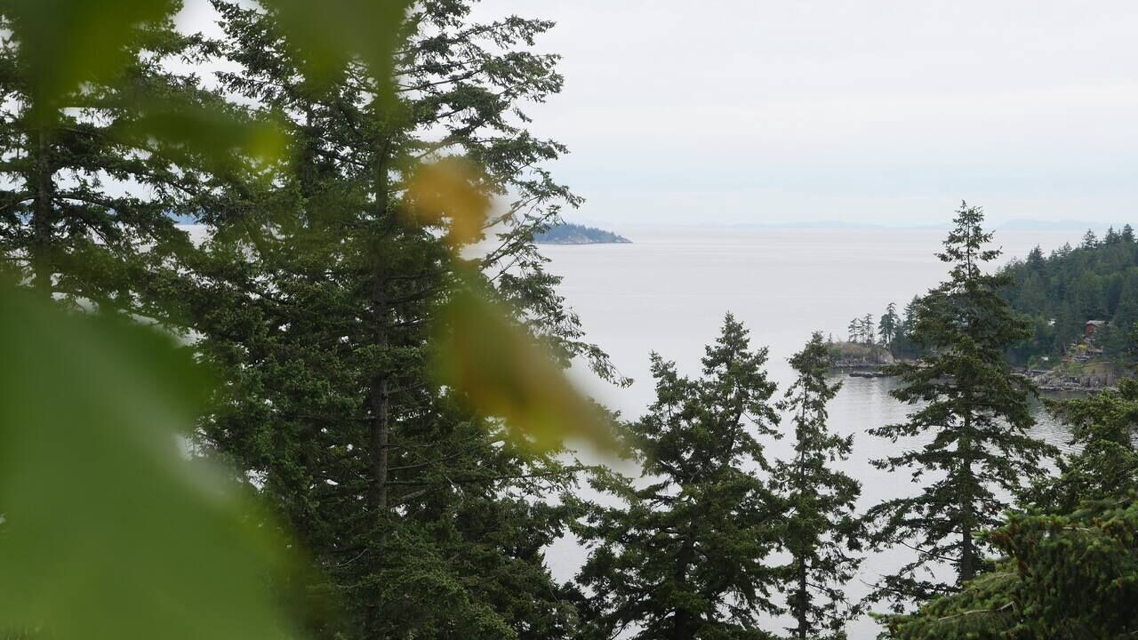 Photo of Others in Bowen Island