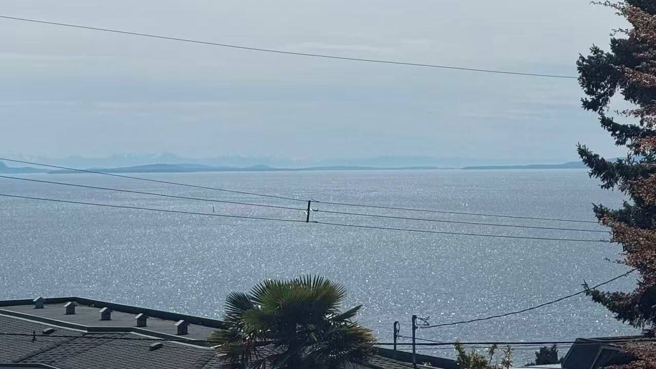 Photo of Others in White Rock