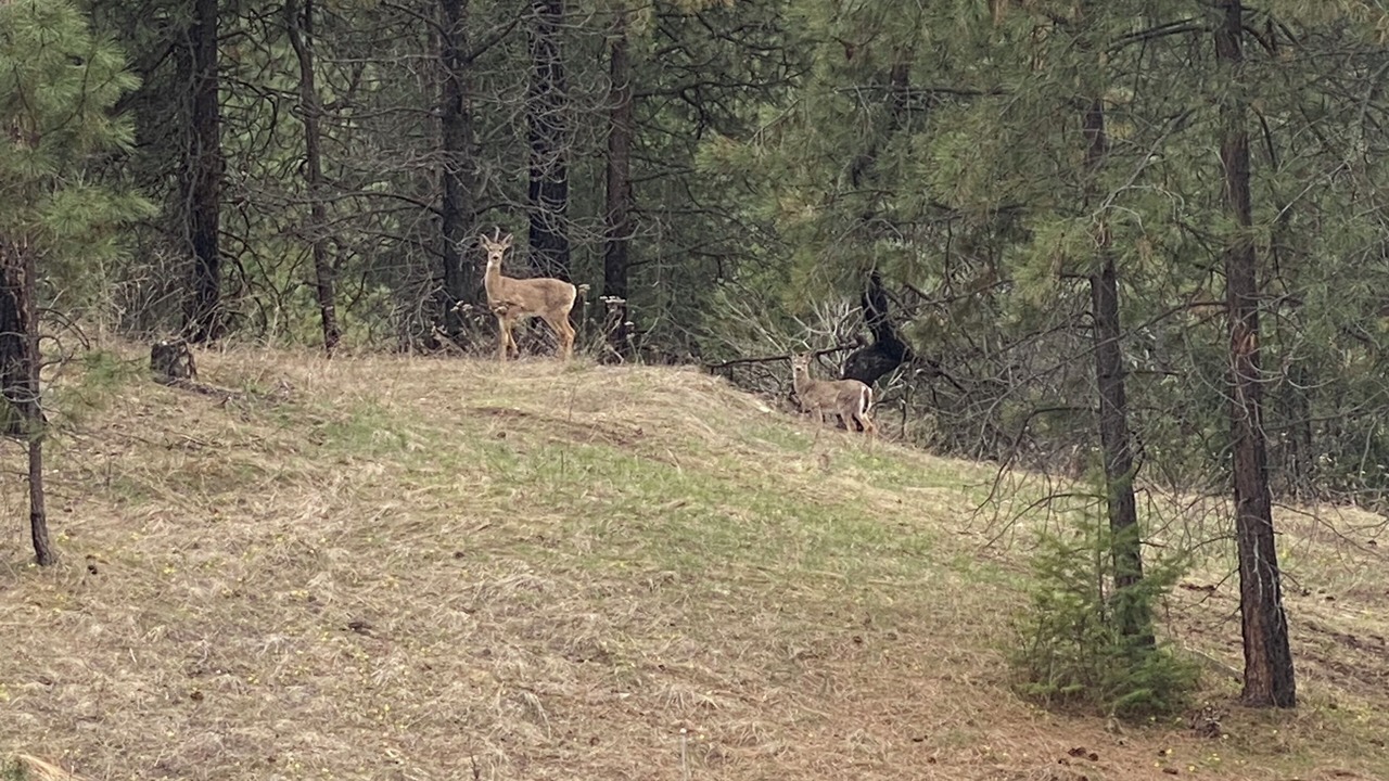Photo of Others in Grand Forks