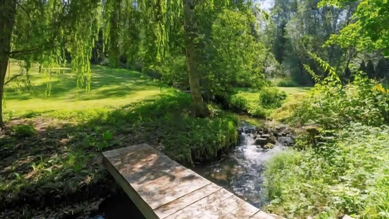 Photo of Outdoor in Salmon Arm