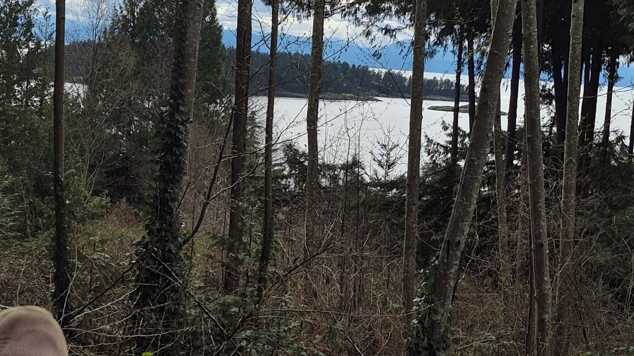 Photo of Others in West Sechelt