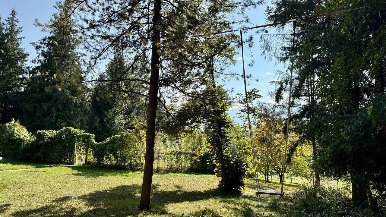 Photo of Outdoor in Golden