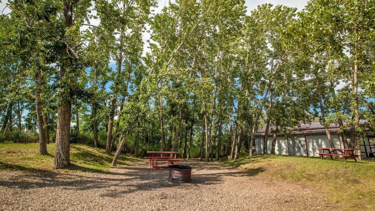 Photo of Outdoor in Stettler