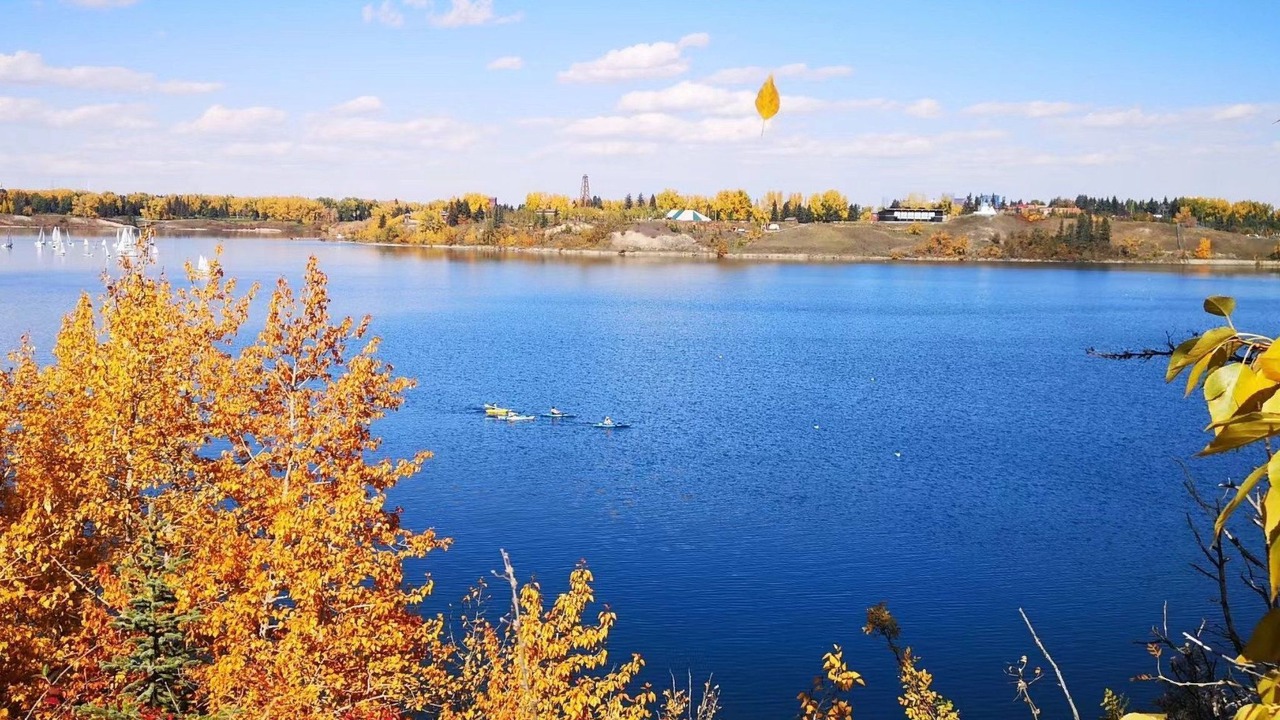 Photo of Others in Southwest Calgary