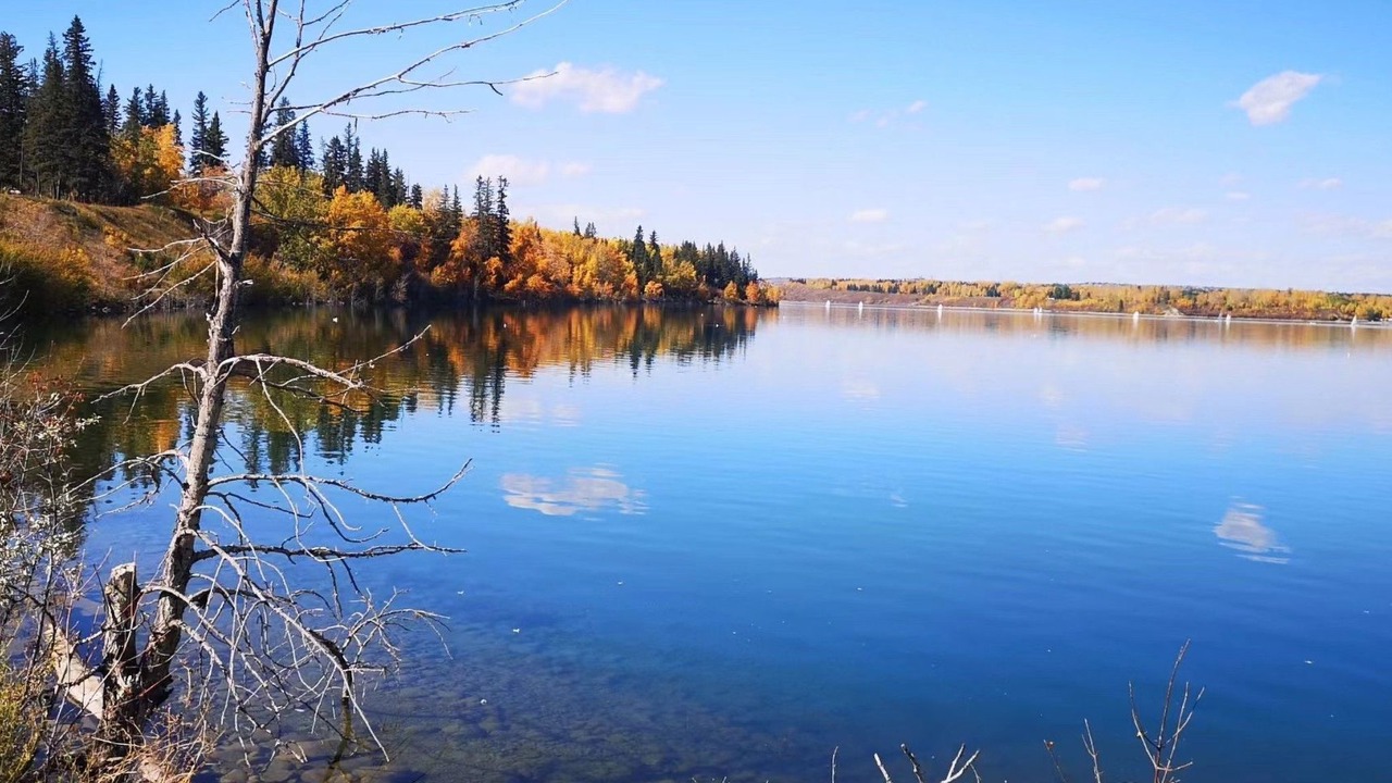 Photo of Others in Southwest Calgary