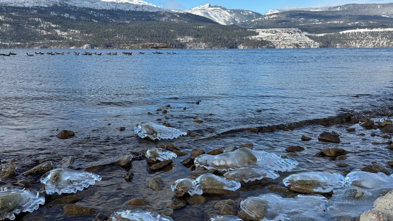 Photo of Others in Central Okanagan