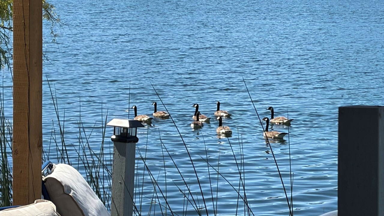 Photo of Others in Langford