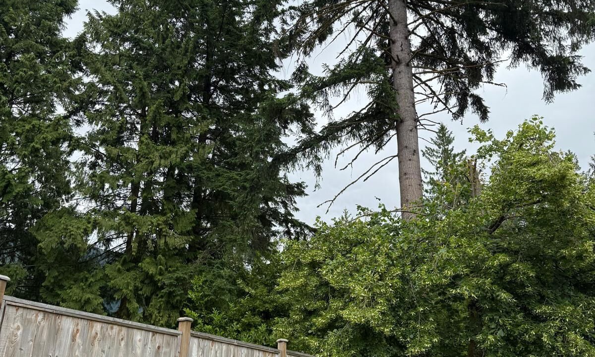 Photo of Outdoor in Canyon Heights
