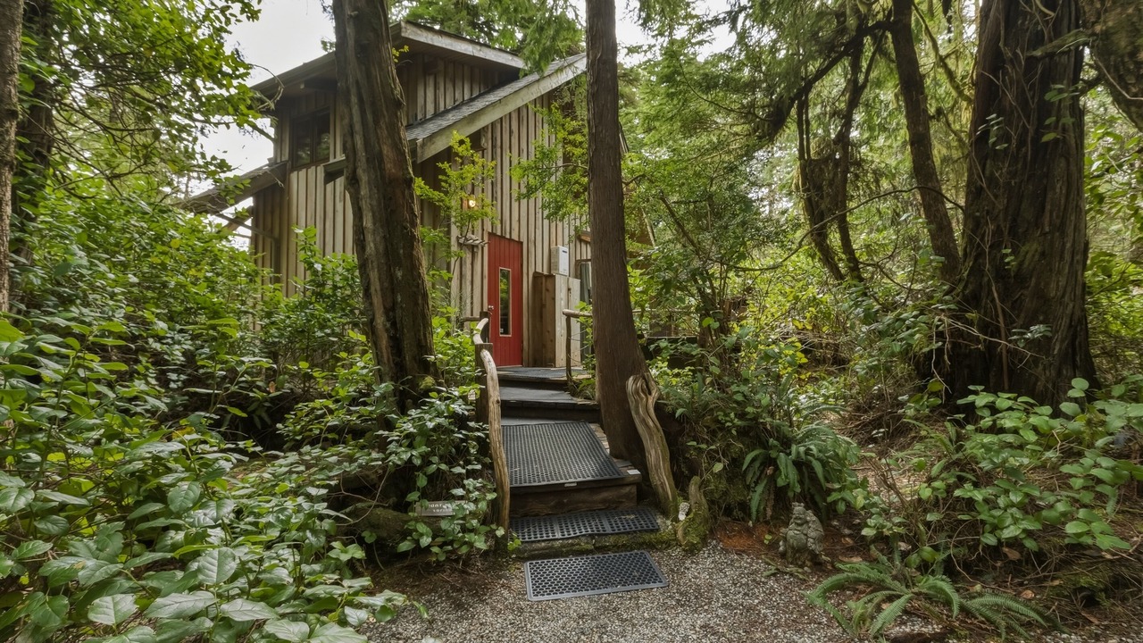 Photo of Others in Tofino