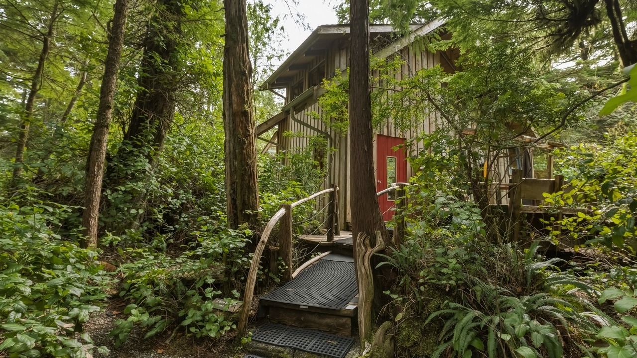 Photo of Outdoor in Tofino