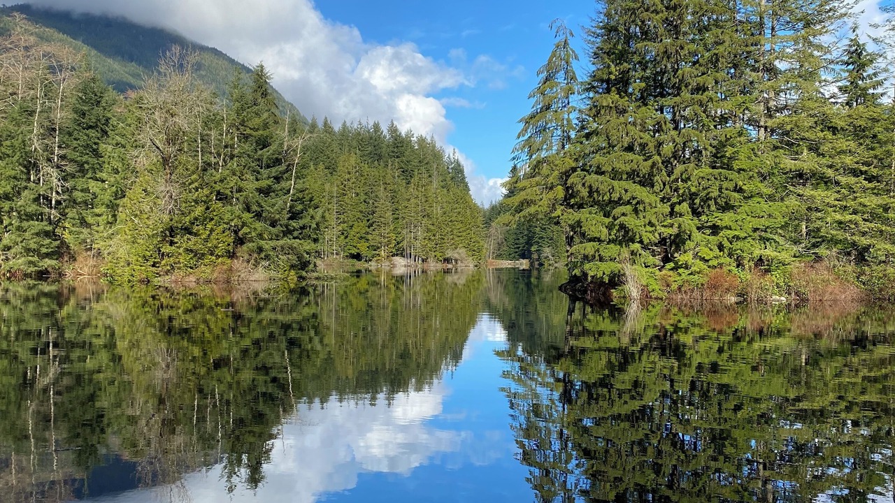 Photo of Others in Lynn Valley