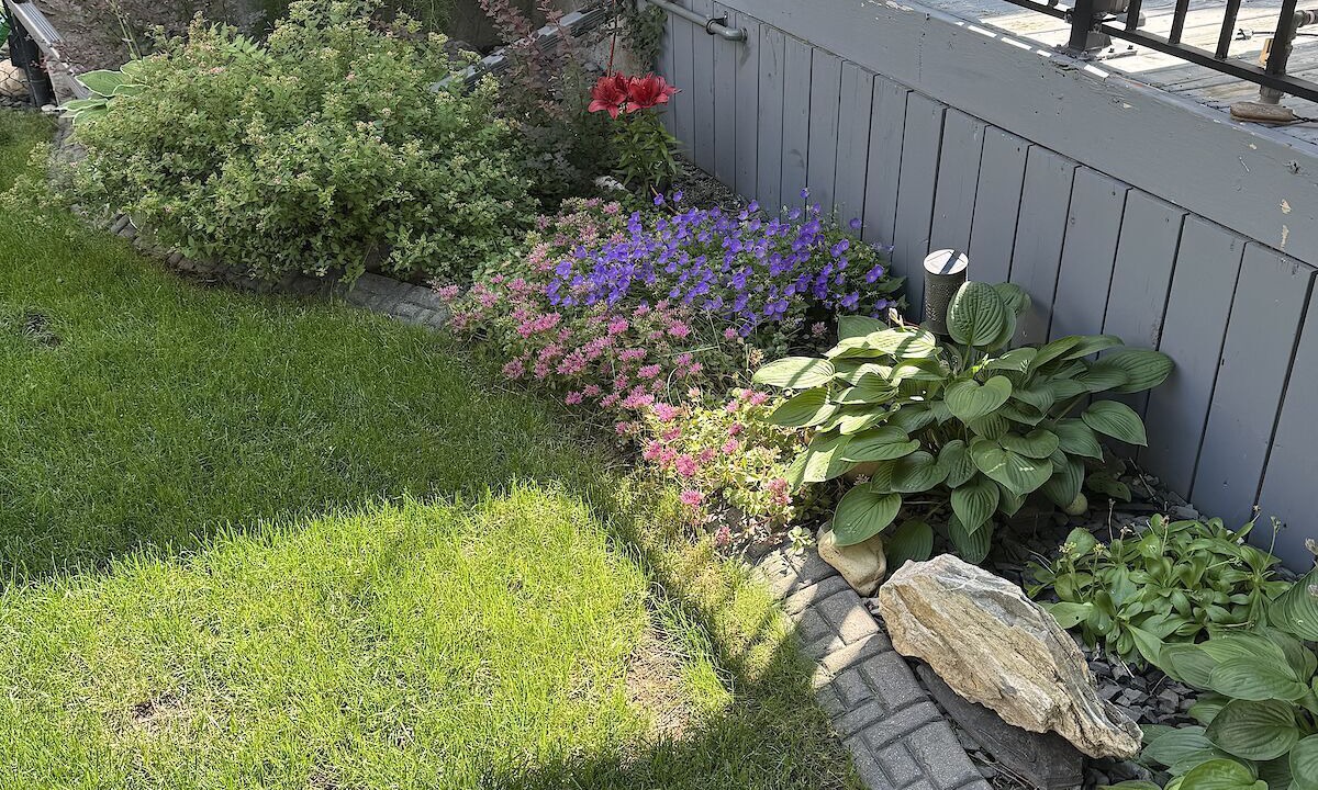 Photo of Outdoor in Cougar Ridge